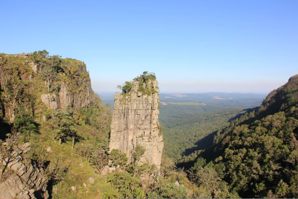 Foto vom Ausblick auf den Pinnacle Rock